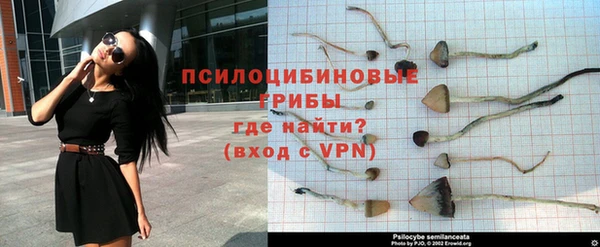не бодяженный Абдулино